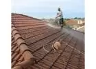 Best Service for Roof Cleaning in Palm City