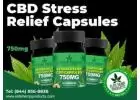 Indulge in Tranquility with CBD Stress Relief Capsules by Elite Hemp Products
