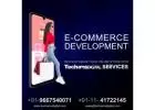 TechAMSDigital  E-commerce Website Development Company India