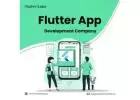 Ingenious #1 Flutter App Development Company in California | iTechnolabs