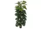 Maintenance-Free Artificial Topiary Trees For Indoor and Outdoor Spaces