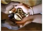 AUTHENTIC LOST LOVE MARRIAGE COURT CASES & VOODOO SPELL CASTER @) +256752475840  USA, EUROPE, FRANCE