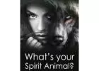 Spiritual Healer Near Me: Exploring Animals as Spiritual Messengers 【✚２７７２５７７０３７６】