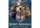 【✚２７７２５７７０３７６】: Practical Steps for Understanding Animal Spirit Messages