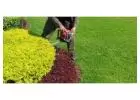 Want Best service for Garden Maintenance in Bentleigh?