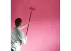 Best House Painter in Parnelll