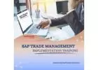 SAP Trade Management Implementation Online Training and Certification Course