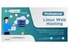 Optimizing Online Presence: An In-Depth Guide to Linux Web Hosting