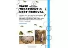 Want Best service for Wasp Nest Removal in Stoughton?