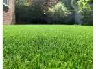 Free fake grass quote